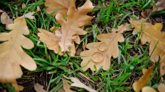 Fall Wedding Tips